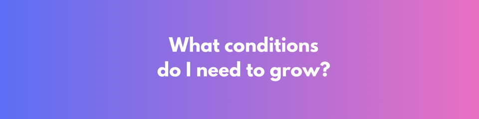 Right Conditions for Growth